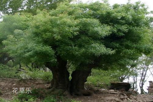 宾得镜头涨价欧美国产极速在线直播，摄影爱好者的热议与市场新动向